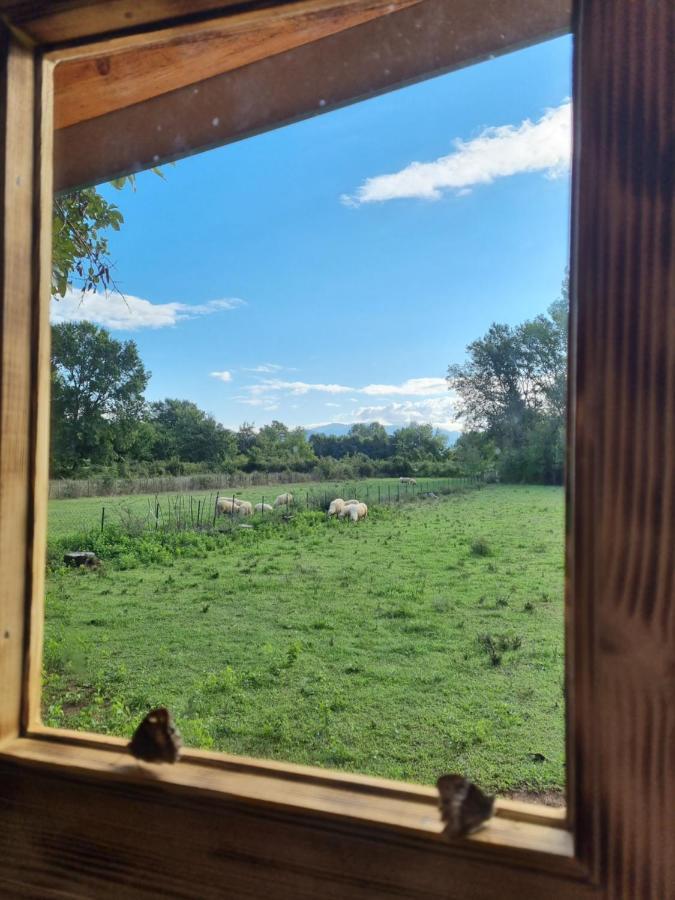Wolf & Sheep Nature & Adventure Подгориця Екстер'єр фото